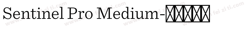 Sentinel Pro Medium字体转换